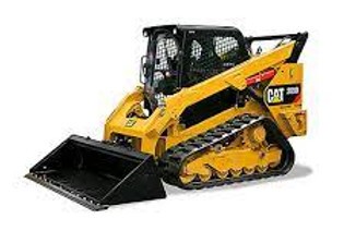 cat289